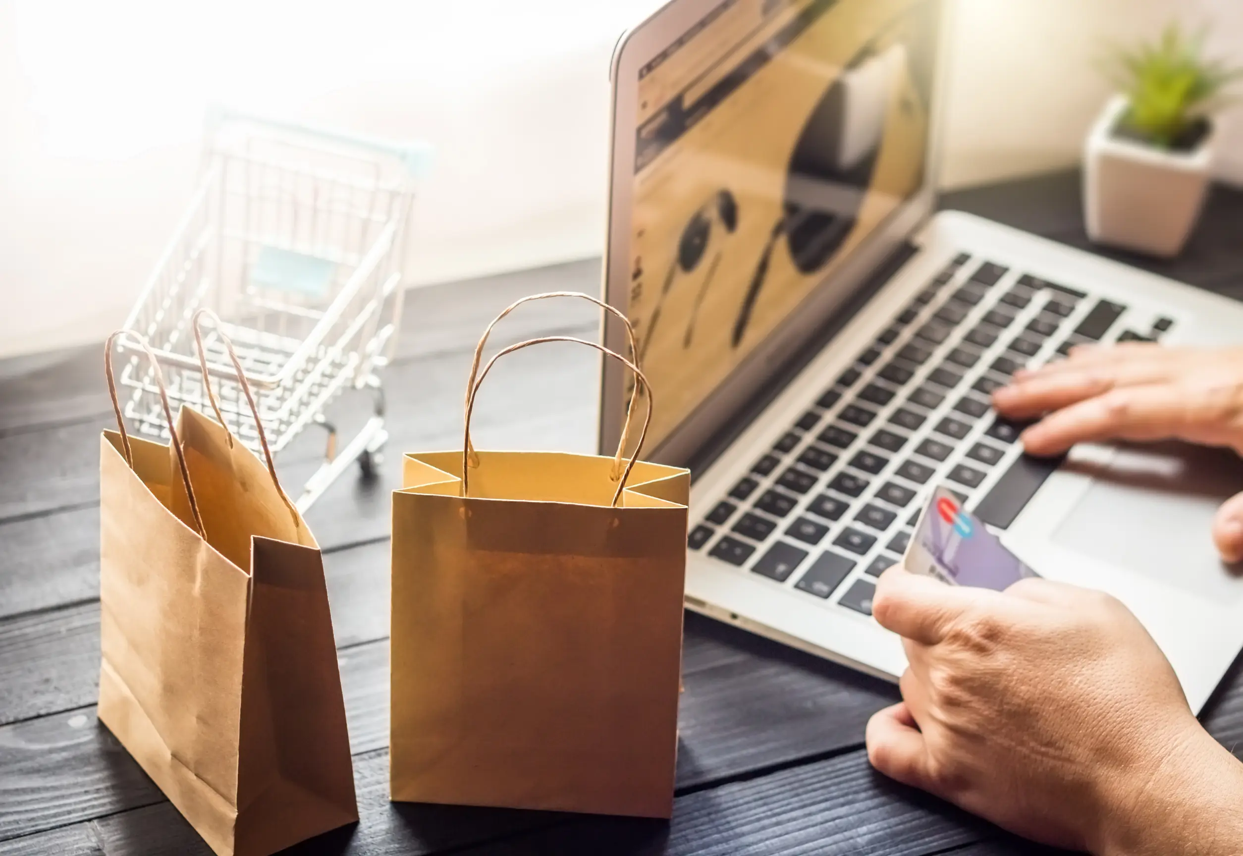 person-shopping-online-with-a-credit-card-2026-03-17-17-46-45-utc